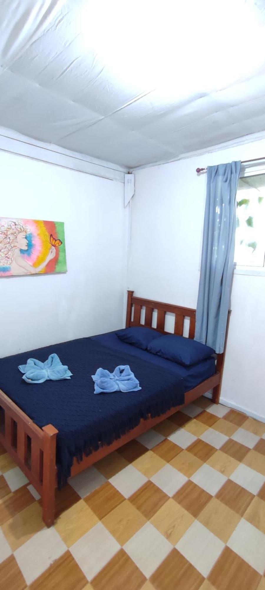 La Y Surf Camp Hotel Bocas Town Bagian luar foto