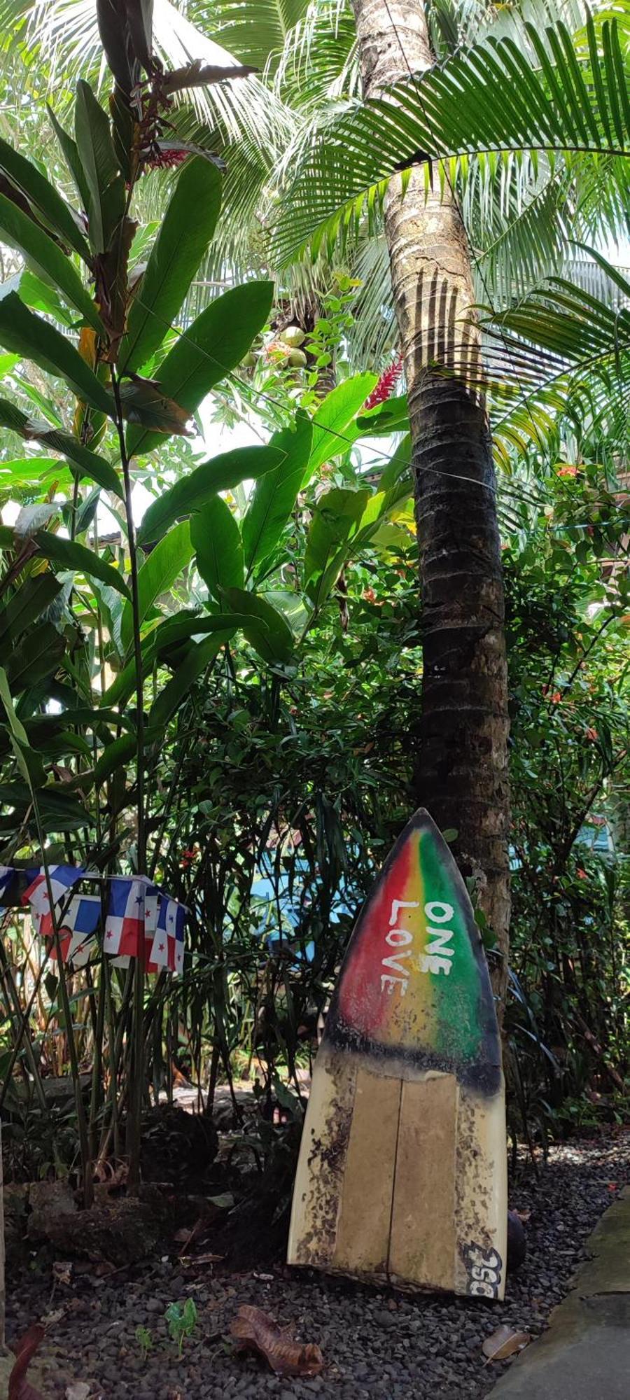 La Y Surf Camp Hotel Bocas Town Bagian luar foto