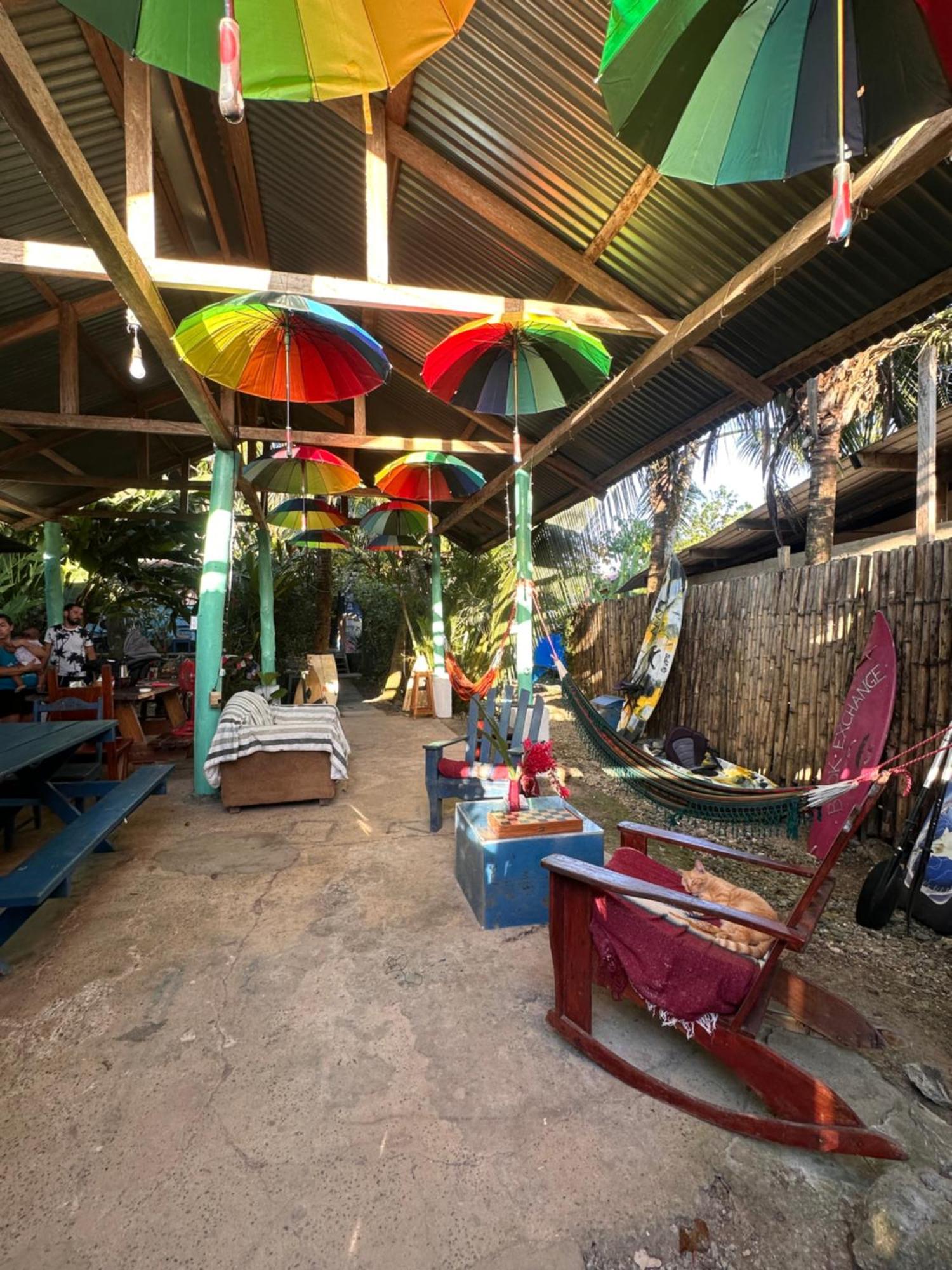 La Y Surf Camp Hotel Bocas Town Bagian luar foto